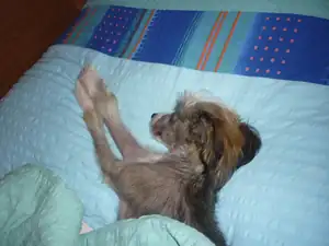 emilka12 — 9. prosince 2011